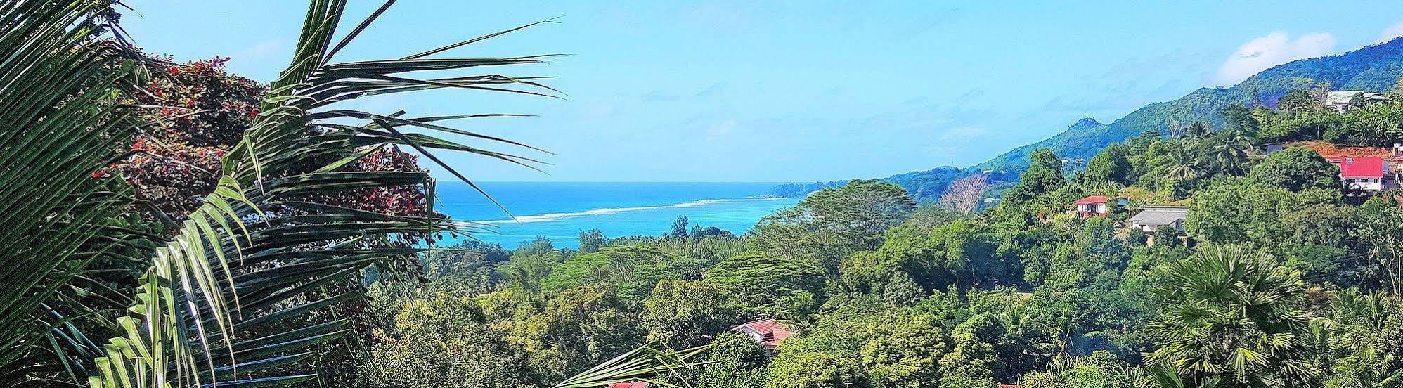 Lime Hill Lodge Anse aux Pins 외부 사진